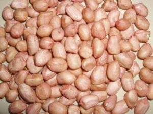 Peanut Suppliers