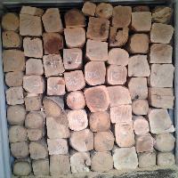 Gmelina Wood Log