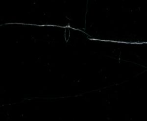 Black Marquina Marble