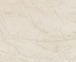 Classic Beige Marble