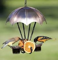 fruit nut feeder