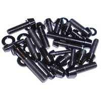 Duplex Steel Fasteners