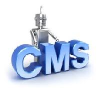 content management services