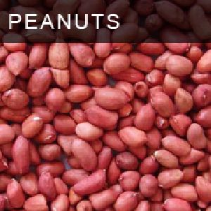 Peanut(Ground nut)