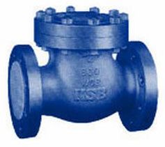 Check Valves