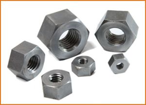 Metal Nuts