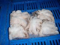 Sell Frozen Octopus