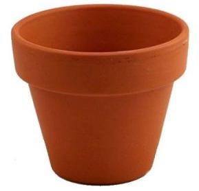 Clay Pot