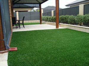 Artificial Grass