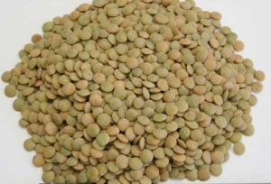 Green Lentils