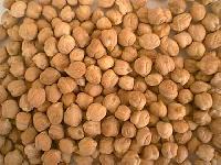 Kabuli Chickpeas