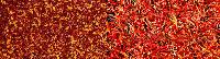 Red Dry Chilies
