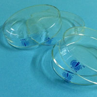 Laboratory Petri Dish