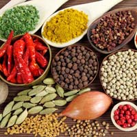 Indian spices