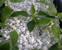 Perlite