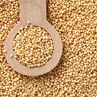 Organic Amaranth Seed