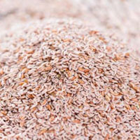 Organic Psyllium Seeds