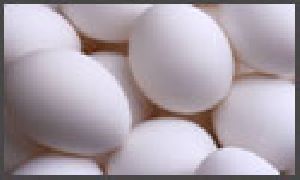 White Eggs