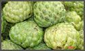 Custard Apple