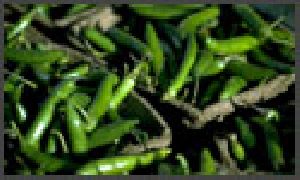 Green Chillies