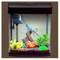 Front Glass Curved Aquarium