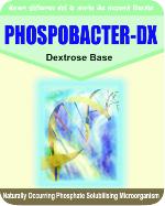 Phosphobactor DX