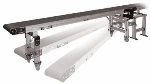 Swing Conveyor