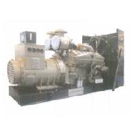 Standard Diesel Genset