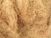 Coir Fibre