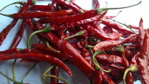 Red Chillies