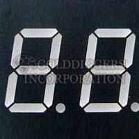 Dual Digit Led Display