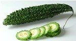 Dehydrated Bitter Gourd (Karela) Powder