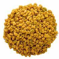 Fenugreek Seeds