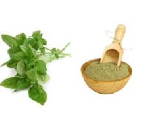 Freeze Dried Basil Powder