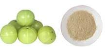 Freeze Dried Gooseberry(Amla) Powder