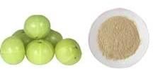 Spray Dried Amla Powder