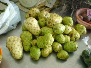 Noni Fruits