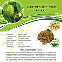 Morinda Citrifolia Extract