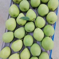 Fresh Chinese Pears