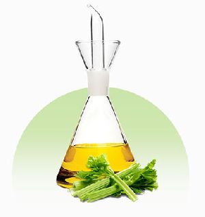 Celery Seed Oil