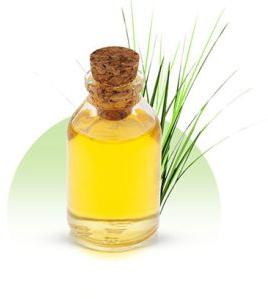 Vetiver Oil