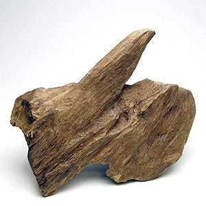 Agarwood Oil