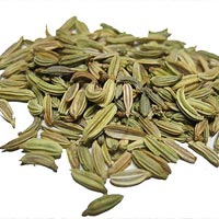 Fennel Seed Oil