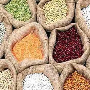 Indian Pulses