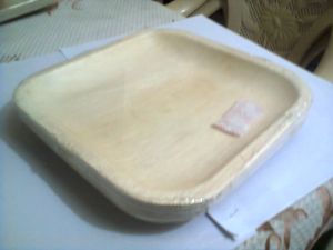 Palm Leaf Plates