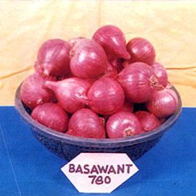 Baswant 780 Onion