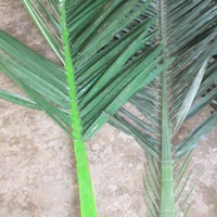 Artificial Palm Tree Leaves