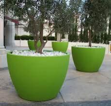 Huge Planters