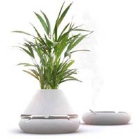 Office Decor Planters