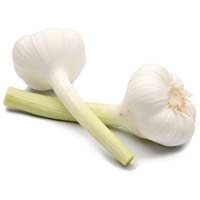 Frseh Garlic